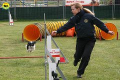 126-agility-dog-cecina-11-04-10