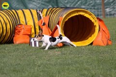 066-agilitydog-gpt-empoli-27set09