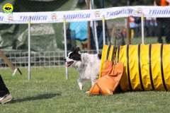 069-agilitydog-gpt-empoli-27set09