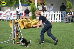 09-agility-dog-roma-29-05-2010