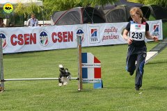 15-agility-dog-roma-29-05-2010