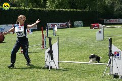 25-agility-dog-roma-29-05-2010