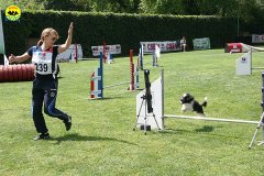 26-agility-dog-roma-29-05-2010