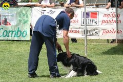 28-agility-dog-roma-29-05-2010