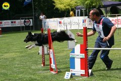 31-agility-dog-roma-29-05-2010