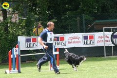 35-agility-dog-roma-29-05-2010