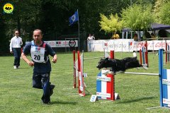 39-agility-dog-roma-29-05-2010
