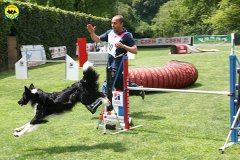 43-agility-dog-roma-29-05-2010