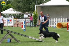 54-agility-dog-roma-29-05-2010