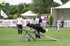 55-agility-dog-roma-29-05-2010