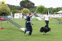 68-agility-dog-roma-29-05-2010
