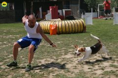 8-primo-trofeo-beagle-agility