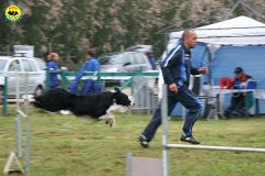 009-agility-dog-rosignano-02-05-2010