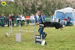 021-agility-dog-rosignano-02-05-2010