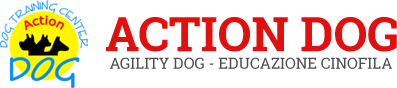 Club Cinofilo Action Dog - Grosseto - Agility Dog - Corsi di educazione Cinofila